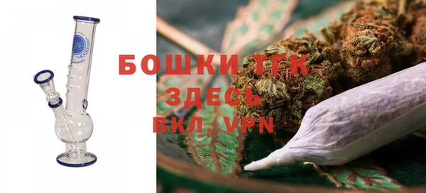 СК Бронницы