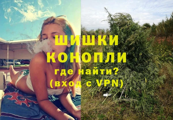 СК Бронницы