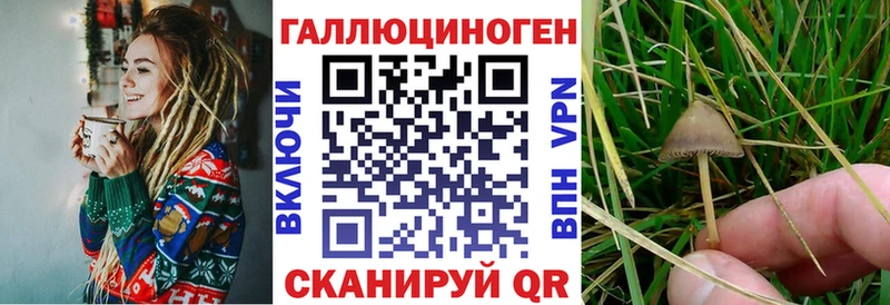 наркошоп  Махачкала  Галлюциногенные грибы MAGIC MUSHROOMS 